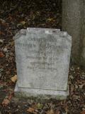 image of grave number 199420